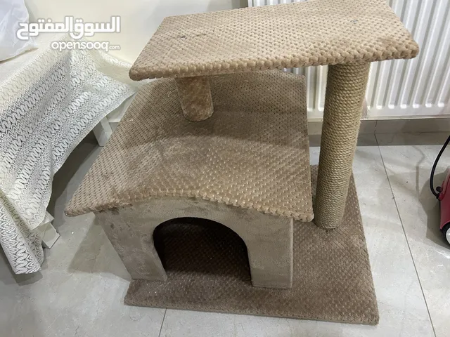منزل قطط جديد