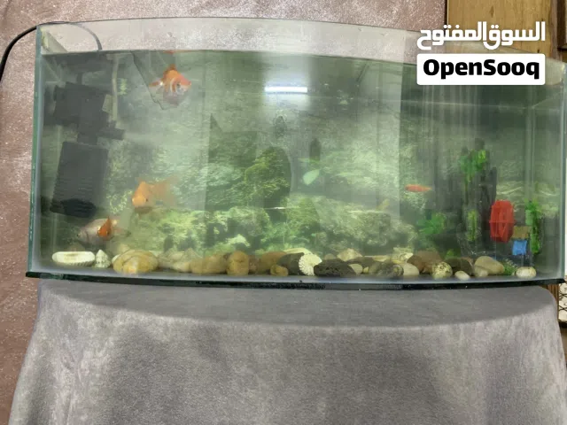 حوض سمكً للبيع