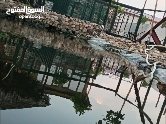 3 Bedrooms Chalet for Rent in Al Jahra Abdali