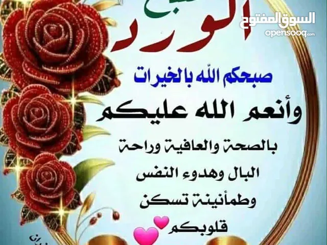 شركة خدمات سياحيه بالآيات للبيع