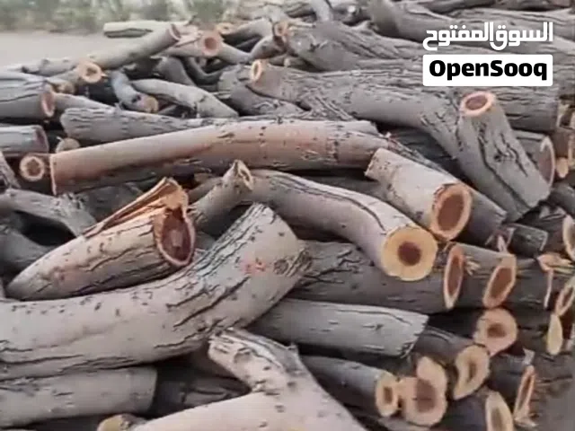 حطب سمر اصلي