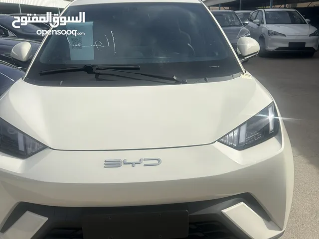 BYD SEGALL 2023 بطارية 405
