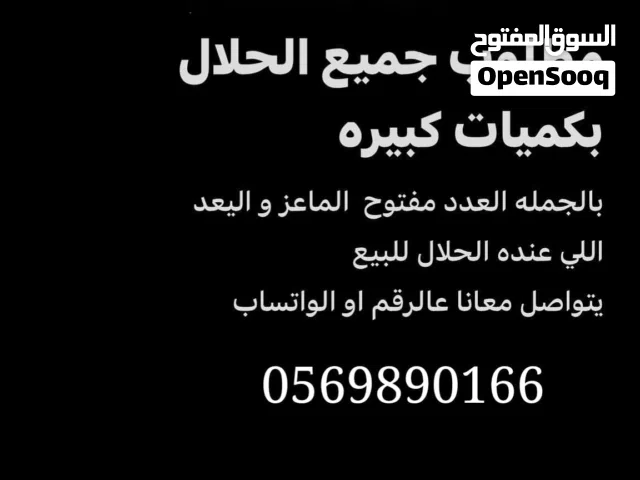 مطلوب حلال