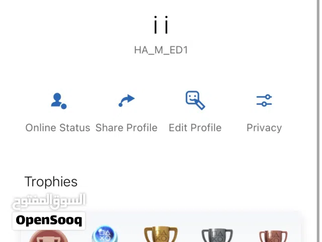 PS+ Accounts and Characters for Sale in Muscat