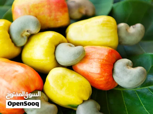 Delicious Raw Tanzania cashew nuts available in all quantities