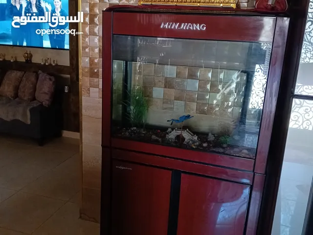 حوض سمك ...