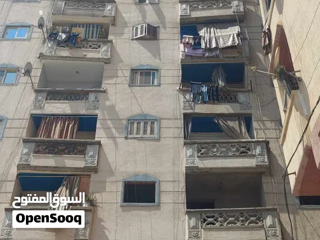 للايجا قانون جديد