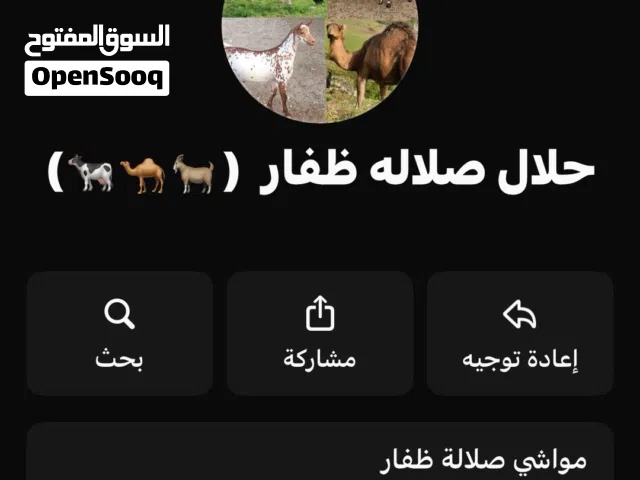 قناة وجروب واتساب مختصه ببيع وشراء واعلان الحلال بالمجان مواشي صلاله ظفار