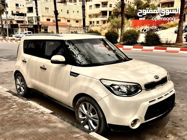كايا سول فل عالي وعزم ممتاز بدفعه 15 الف