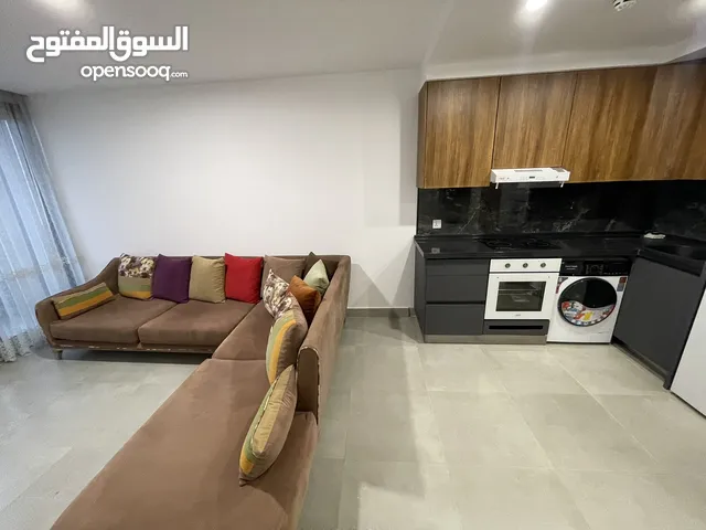 80m2 1 Bedroom Apartments for Rent in Erbil Ankawa