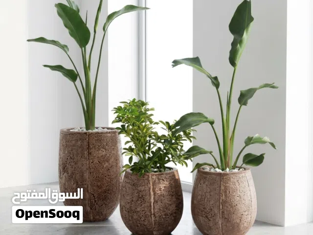 طقم أحواض زرع ديكور بلون برونزي ومعدني فخم جداً