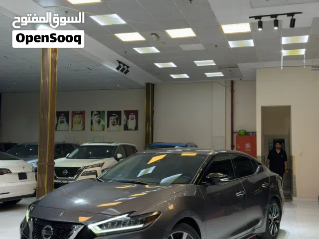 Used Nissan Maxima in Ajman