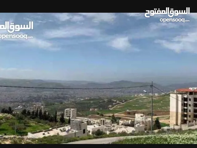 ارض للبيع في الجبيهه 1000م خلف قصر الاميره بسمه مطله وعلى شارعين