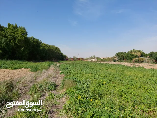 Residential Land for Sale in Jordan Valley Dead Sea