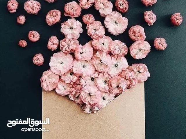 تسبيح السيد