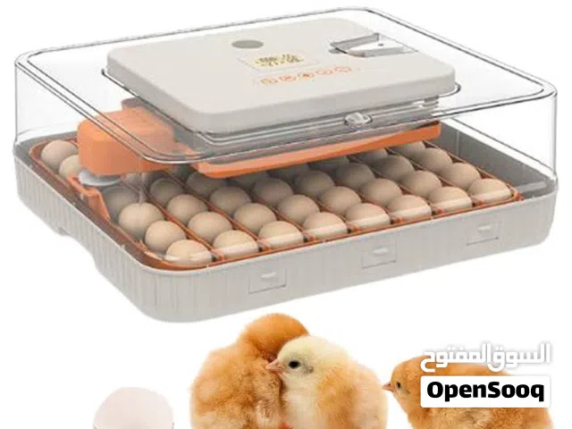 فقاسة دجاج اوتوماتيك بالكامل 30 بيضة 52 بيضة 56 بيضة 70 بيضة