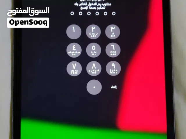 Apple iPad Mini 5 256 GB in Al Batinah