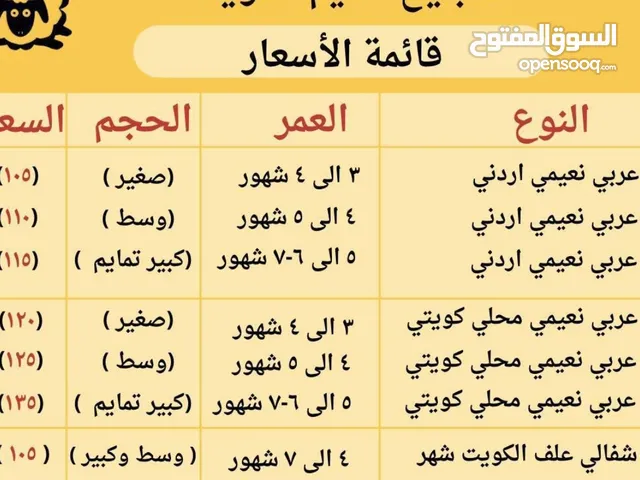 خرفااان للبيع حسب النوع التوصيل بخمسه تقطيع ب3 خروف كامل نعيمى شفالى اردنى محلى كل واحد سعره غيرر