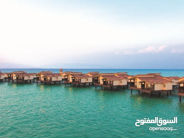 من دبي إلى شيراز – الجمال والطبيعة والثقافة