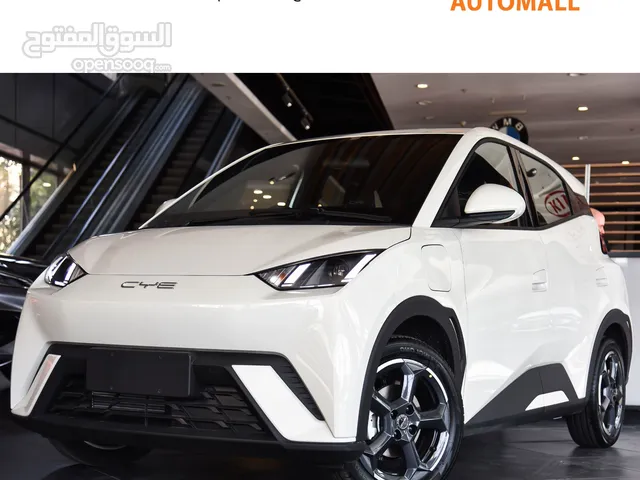 بي واي دي سيغول كهربائية بالكامل 2024 BYD Seagull EV