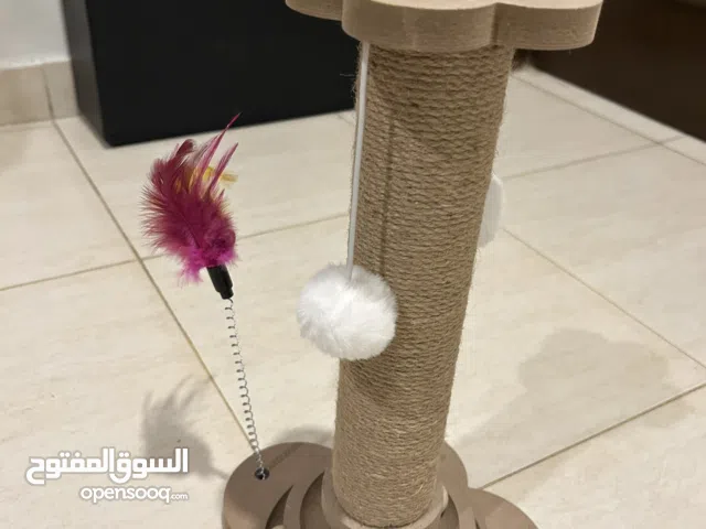 خادشه قطط مميزه وجديده ولعبه مائيه