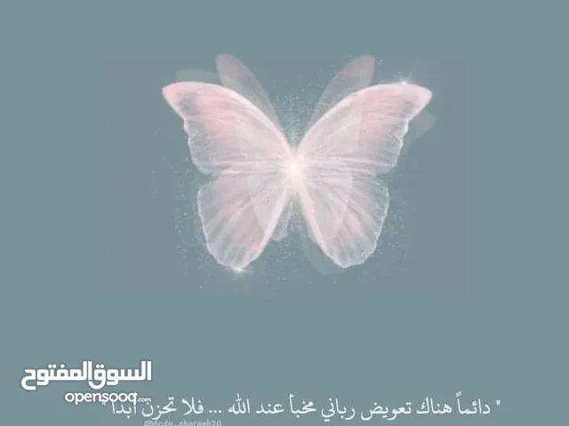 ورشة المؤمن للتمديدات الصحيه والصيانه العامه باشكالها