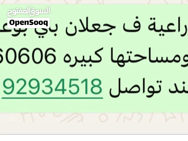 مزرعة في سلطنة عمان مساحتها كبيره