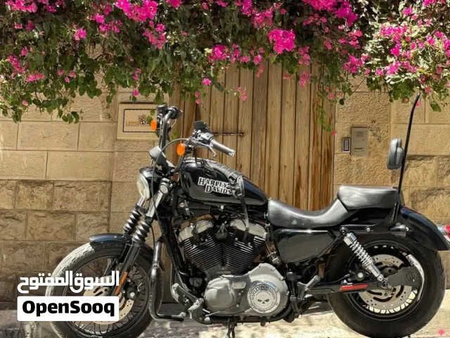 2010 هارلي ديفيدسون 1200 Custom
