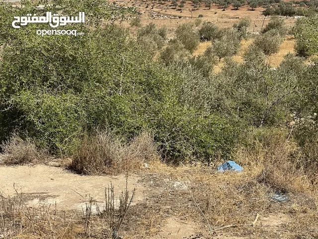 ارض في الباذان تصنيف A طابو عصيره الشماليه