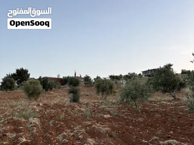 مزرعه زراعية سكنيه للبيع