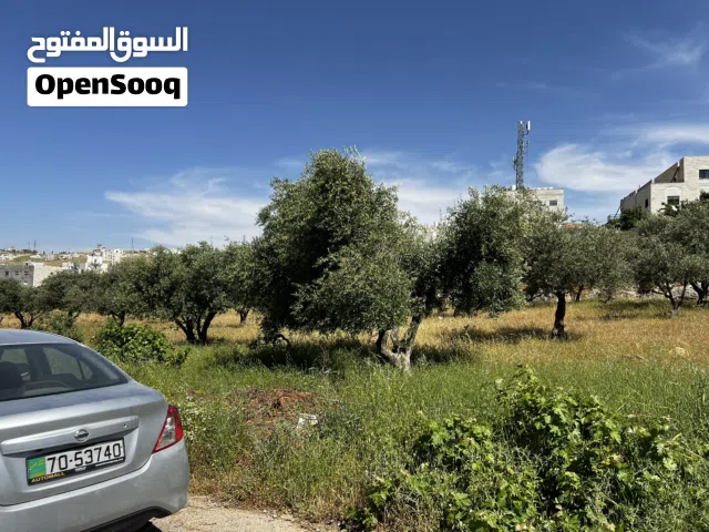 Residential Land for Sale in Amman Shafa Badran