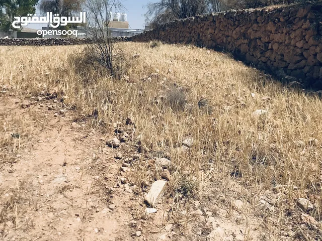 Farm Land for Sale in Zarqa Sarout