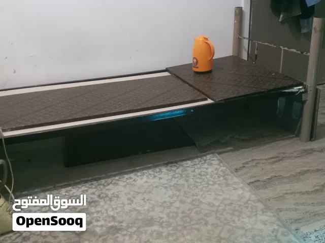 مشاركة سكن