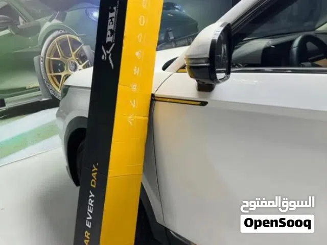 حماية عازل تضليل جملة