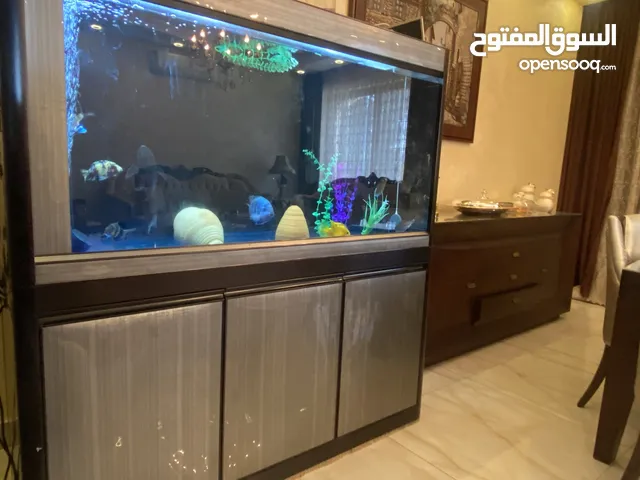 حوض سمك كبير مع كانستر وسمك احجام كبيرة
