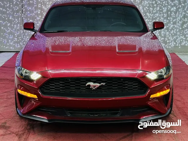 Used Ford Mustang in Ajman