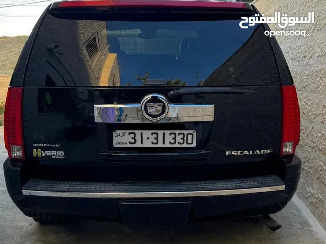 Used Cadillac Escalade in Amman