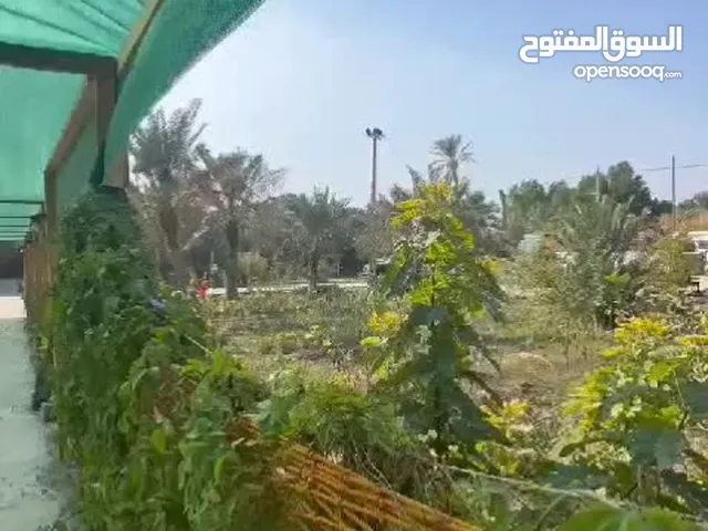 بستان للبيع مليان انهار مع دار سكنية متكامل الخدمات ابي الخصيب حمدان