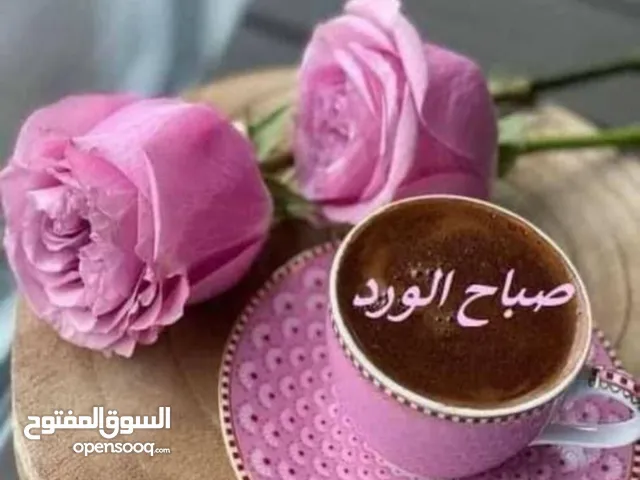 مطعم للبيع شغال جاهز ويعملىبصورة جيدة وله زبائن ومنتشر على صفحات التواصل