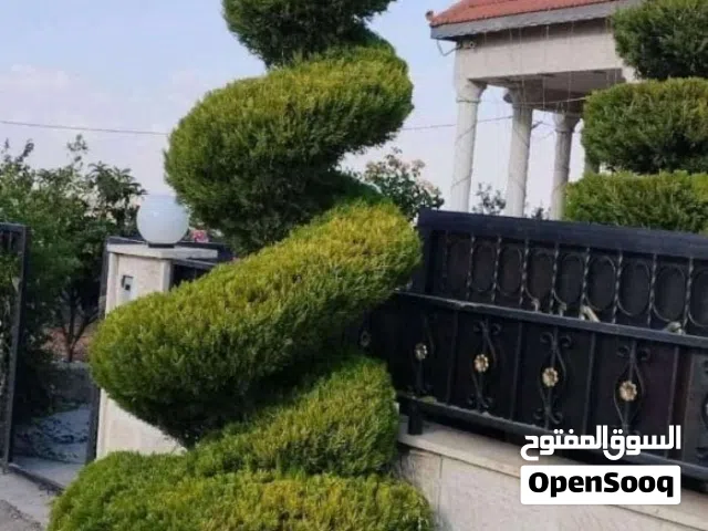 خدمات الحدائق المنزليه والأراضي الزراعيه، قص تقليم تشكيل تطعيم الاشجار ، إزالة الأعشاب وتقليب التربه