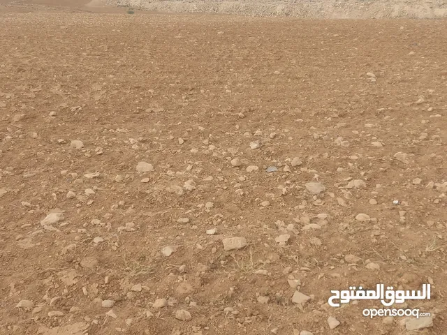 Mixed Use Land for Sale in Irbid Irbid Mall