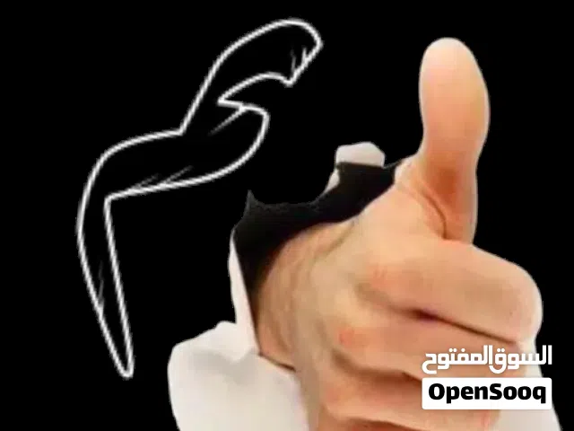 للبيع سجل تجاري بة عمال مقاولات ويوجد مشروع