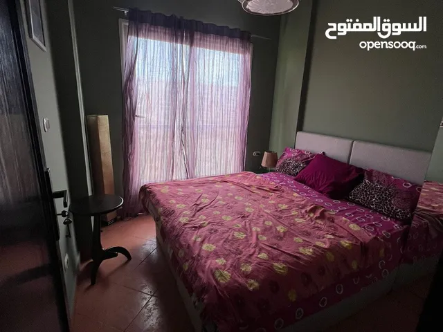 47m2 Studio Apartments for Sale in Matruh Alamein