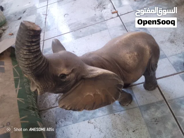 مجسم فيل من عاج الفيل اصلي افريقي
