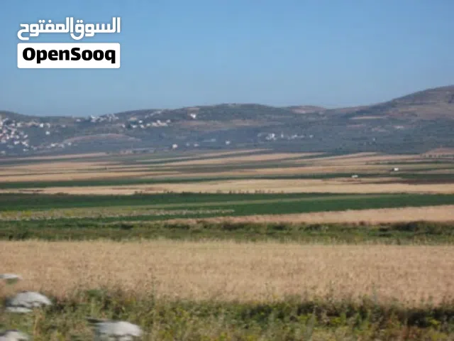 Farm Land for Sale in Jenin Manshiya