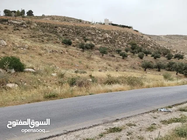 Farm Land for Sale in Salt Al Balqa'