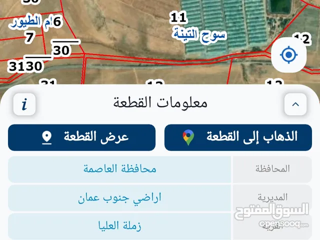 Farm Land for Sale in Amman Zumlat al Ulya