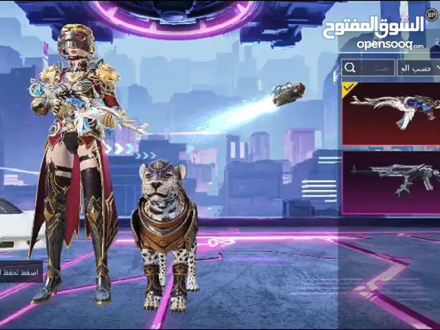 Pubg Accounts and Characters for Sale in Sohag