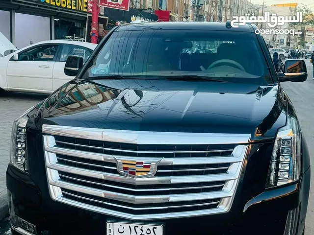 Used Cadillac Escalade in Wasit