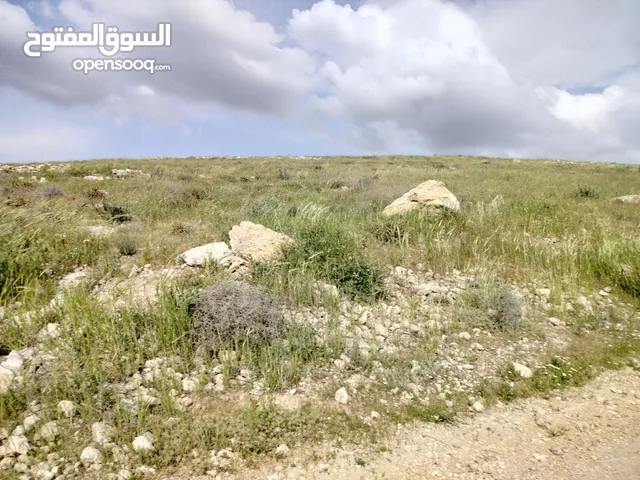 Mixed Use Land for Sale in Zarqa Graisa